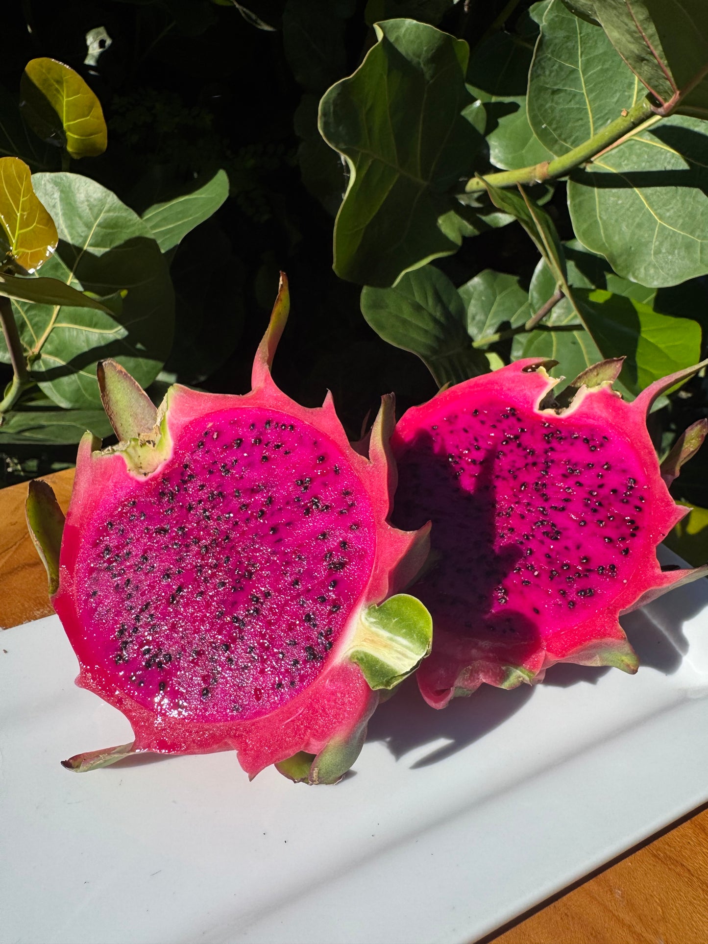 10 lb Red Dragon Fruit Box