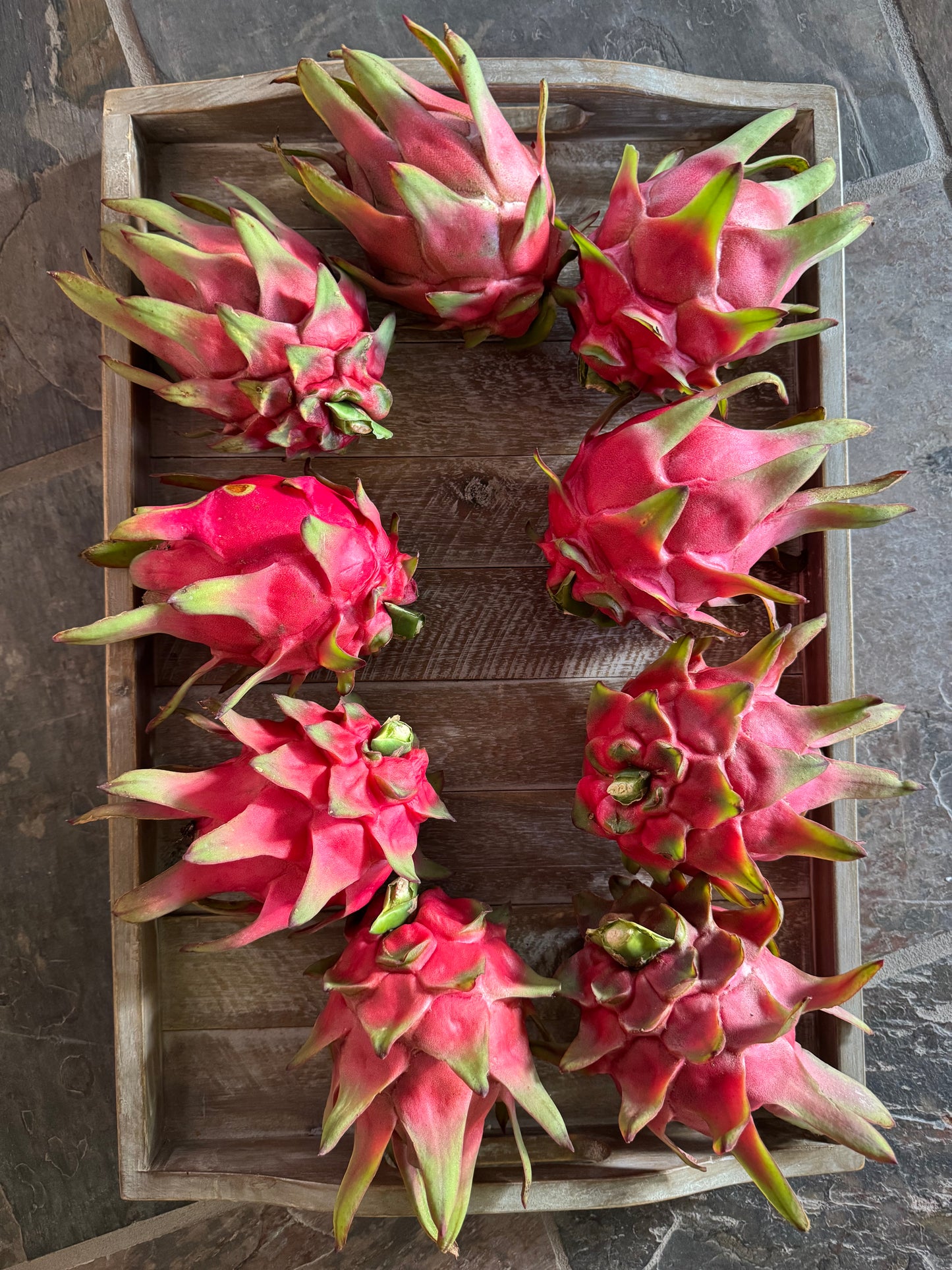 10 lb Red Dragon Fruit Box